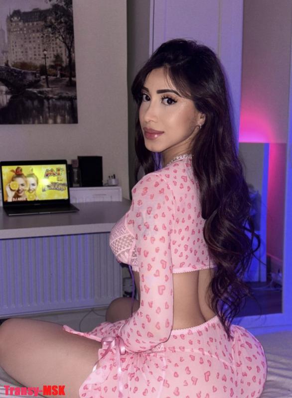 Ит стиліндегі ұшқыштың бейнесі